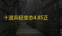 十波兵轻变态4.85正式版【附隐藏密码+攻略】